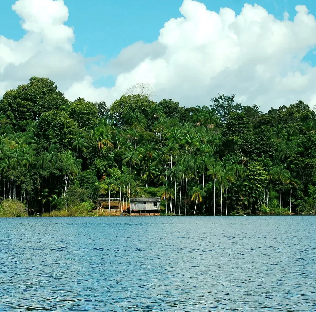 Reserva de Mimirauá, Amazonas. Lugares para visitar sozinha no Brasil